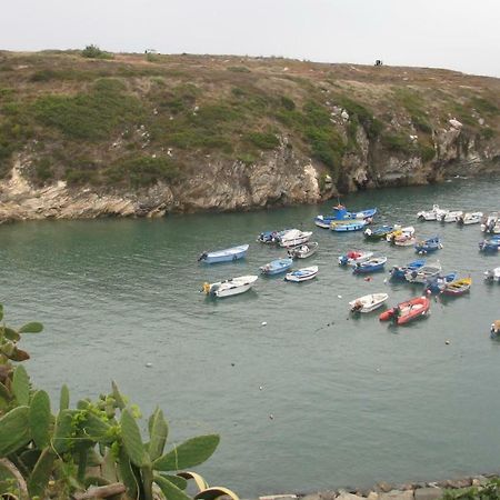 Casa De Mar @ Porto Covo Daire Dış mekan fotoğraf
